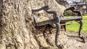 Quand la nature reprend ses droits