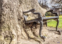 Quand la nature reprend ses droits