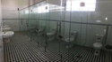 Toilettes pour personnes non pudiques