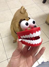 Photoshop IRL 