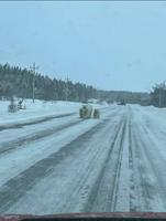 Kan tu croises une famille d'ours blancs dans le Grand Nord canadien.