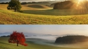 1 paysage, 4 saisons