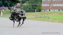 WildCat, le nouveau robot développé par Boston Dynamics