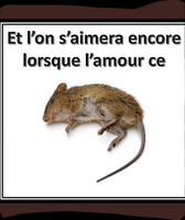 Micro rébus