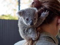 Je crois que t'as un truc dans les cheveux