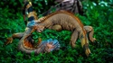 Combat de dinosaures