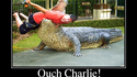 Dans la gueule du croco