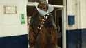Chewbacca sort de chez le véto...