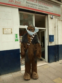 Chewbacca sort de chez le véto...
