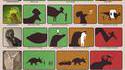 Le guide des dinosaures domestiques