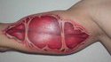 Tatouage muscle 3