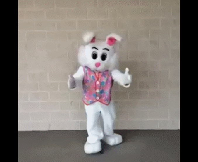 Dans les bras du lapin