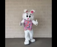 Dans les bras du lapin