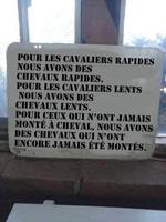 L'équitation par niveau