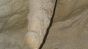 A la recherche des phallus perdus 61