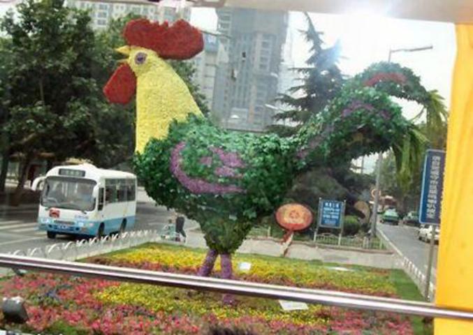 Un coq réalisé grâce à de nombreuses fleurs.