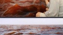 Face à la mer