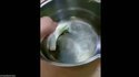 Tentative de recette