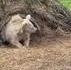 Fin d’hibernation ou un mardi matin après un week-end de trois jour 