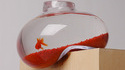 Aquarium design