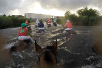 "Ici Longchamp où le terrain est un peu détrempé...