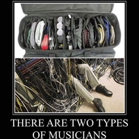 2 types de musiciens