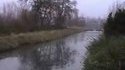 Glissades de canards