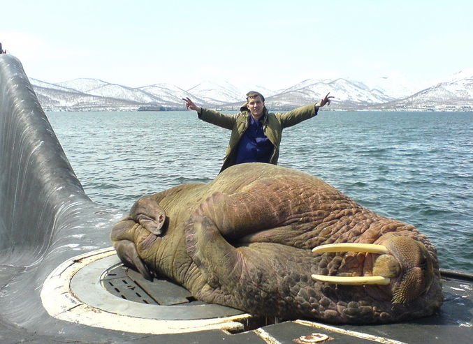 Un russe heureux taper la pose à côté d'un morse géant allongé sur un ancien sous-marin nucléaire ? I BET U NOT