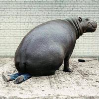 Un plan cul pour le soigneur ?