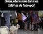 Elle n'a pas trouvée la valve