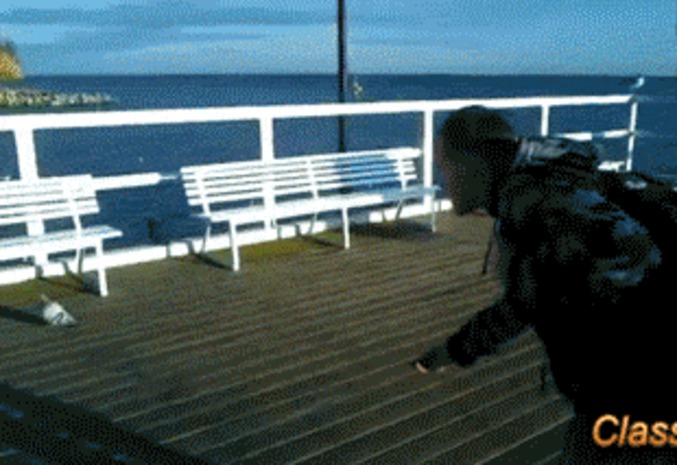 Il a voulu emmerder un pigeon