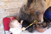Un ours et un bébé