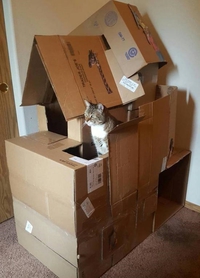 Chat-eau-fort