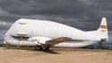 Avion baleine