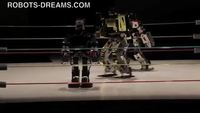 Robots catcheurs