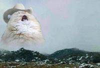 Miaouuuuuuuuuuuuuuu miaouuuuuuuuuuuuuuuu