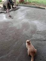 On reconnaît bien là le pourrisseur n°1 de l'existence