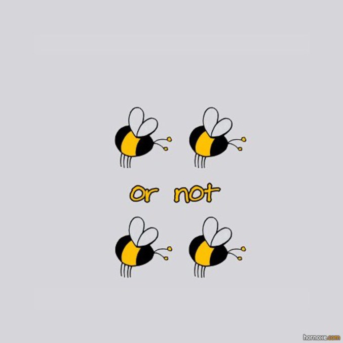 Or not two bees ?
