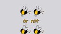 Two bees