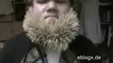 Barbe cure-dents