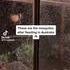 Les moustiques en Australie 