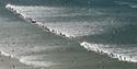 103 surfers
