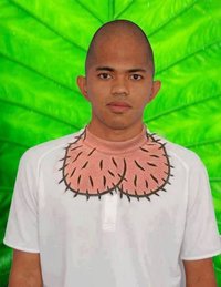 Tête de gland