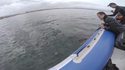 Un requin blanc s'attaque à un canot pneumatique