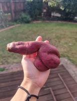 Une drôle de patate douce