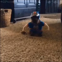 Déguisement pour chien