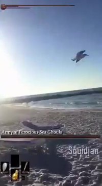 Youhou la mouette