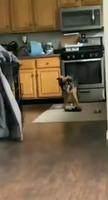 Un duel
