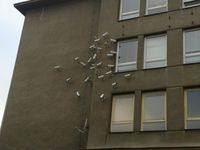 Surveillance maximale