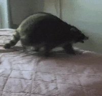 "Vous avez été remplacé."
